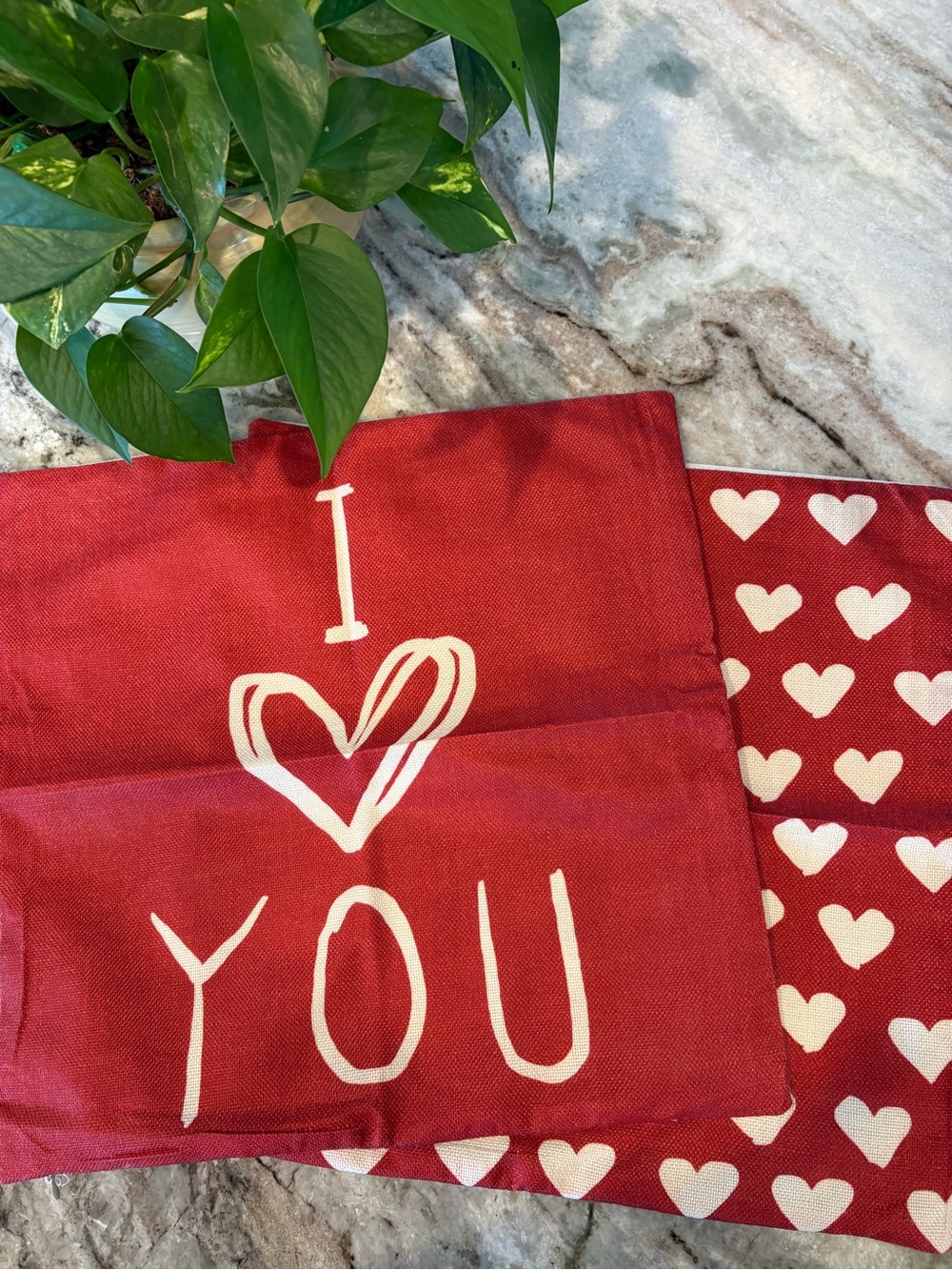 Two 18x18 Canvas Valentine’s Day Pillow Covers